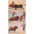 Puntillero Rematando Bull Fight Animal Slaughte...