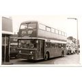 Black & White Photograph of Manchester Corporat...