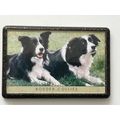 FRIDGE MAGNET - BORDER COLLIES