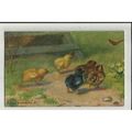 9175 CHICKS AND DUCKLINGS Tuck Oilette Postcard