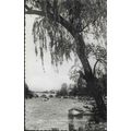 London - Richmond - bridge, 'Spring on the Tham...