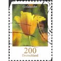 GERMANY, FLOWER, California Poppy, Eschscholzia...