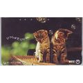 Kittens V2Japan NTT Phone Card