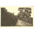 Warwickshire ACOCKS GREEN Dolphin Lane Postcard...