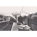 Engine 5384 Weymouth Train 4562 Bridport at Mai...