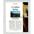X1952) Graham Davies Artist Golden Spring Ocho ...