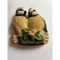 FRIDGE MAGNET - ISLE OF WIGHT BIRDS