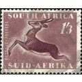 SOUTH AFRICA, MAMMAL, Springbok, Antidorcas mar...
