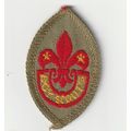 Scout Badge UK Pre 1967 - Scout Tenderfoot (Lig...