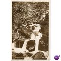 Vintage Valentine's PC - In Glen Lyn, Lynmouth,...