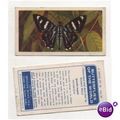 Brooke Bond Tea card BUTTERFLIES OF THE WORLD n...