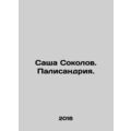 Sacha Sokolov. Palisandria. In Russian /Sasha S...