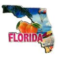Florida the Sunshine State Jumbo Artwood Foil F...