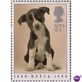 Great Britain 1990 RSPCA anniversary 37p Puppy ...