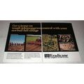 1978 Stauffer Eradicane Ad - Johnsongrass Control