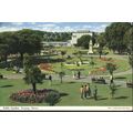 VintageJohn Hinde PC 1966 - Public Gardens, Tor...
