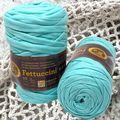 Lion Brand Fettuccini Yarn Bundle of 2 Aqua Blu...