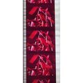 ALICE COOPER. Pk MTP - B044r . 1 STRIP OF 5 - 3...