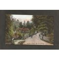 Postcard Bristol The Cottage Coombe Dingle