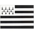 35 - drapeau Breton