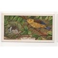 British Birds & their nests Sunlight soap tradi...
