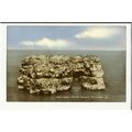 Durham SOUTH SHIELDS Marsden Rock Postcard (16)