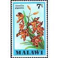 Malawi 1979 7t Ansellia Gigantea Orchid Unmount...