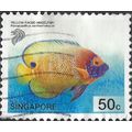 SINGAPORE, FISH, Yellow-faced Angelfish, blue 2...