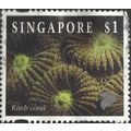 SINGAPORE, MOLLUSC, Knob Coral, Favia , brown 1...