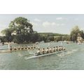 Henley Road Regatta Race In Progress Boat Postcard