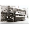 Black & White Photograph of Ribble Motor Servic...