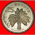 Ⰶ GREAT BRITAIN: THE GAMBIA★ 25 BUTUTS 1971 UNC...