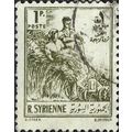 SYRIA, agriculture, olive 1954, 1P