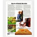Colchester And East Essex Co-op Advert - 1983 C...