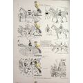 Mechanical Racehorse, Victorian Humour, Book Il...
