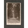 Postcard Kent Sidcup Frognel Avenue With man an...