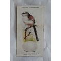 1939 Ogdens British Birds & Their Eggs 46 Long-...
