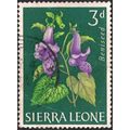 SIERRA LEONE, FLOWERS, Climbing Lily, Beniseed, green 1963, 3d