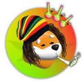 10,000 Bong - Bonk's Brother ($BONG) MINING-CON...