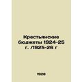 Peasant budgets 1924-25