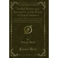Forest Scenes and Incidents, in the Wilds of No...