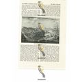 Capture Of Quebec, 1759, Canada, Book Illustrat...