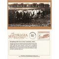 Postcard Ploughing with Oxen Snowshill Cotswold...