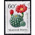 Hungary 1965 Flowers 60f Used Stamp
