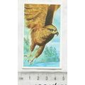 Brooke Bond Going Wild No. 3 Golden Eagle, Wild...