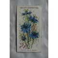 1913 Wills Old English Garden Flowers 2nd serie...