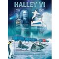 CENTRAL AFRICA 2013 SHEET MNH HALLEY VI PENGUINS SEALS BIRDS