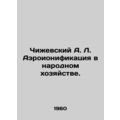 Chizhevsky A. L. Aeroionization in the National...