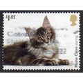 GB 2022 Cats of Great Britain - Maine Coon star...