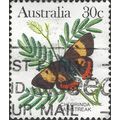 AUSTRALIA, BUTTERFLY, Pseudalmenus chlorinda, g...